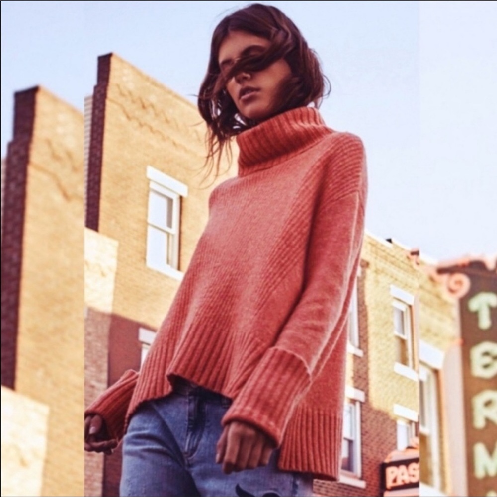 Moth Anthro fireside wool turtleneck sweater